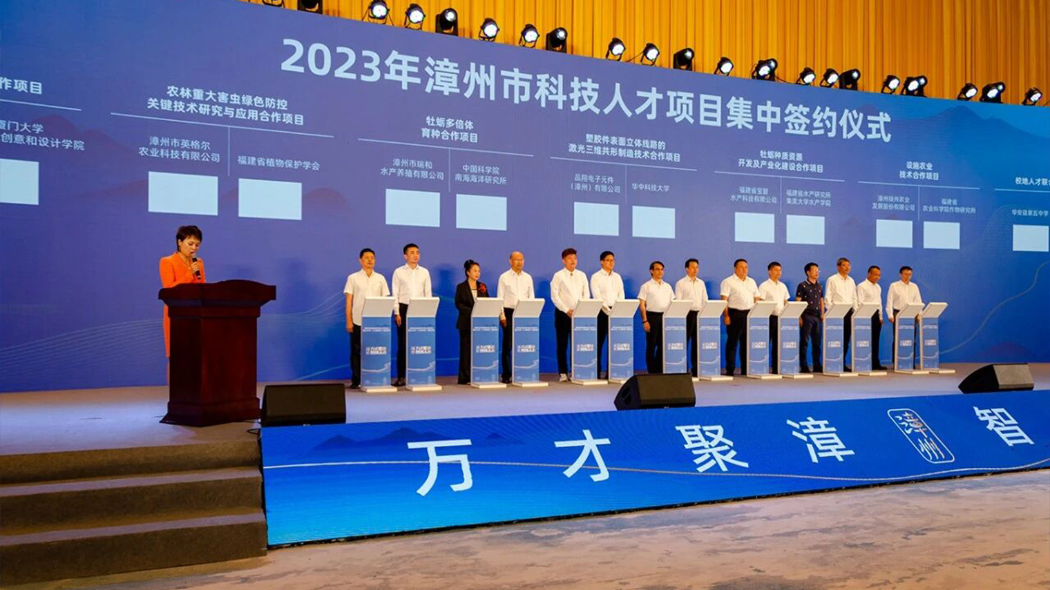 Small Metal Detector