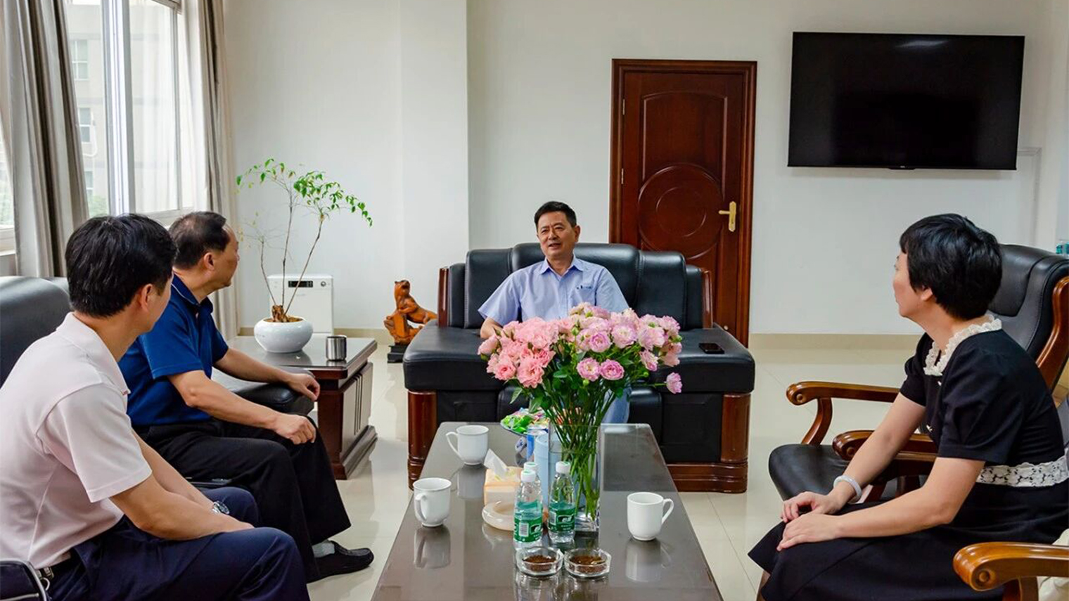 Detector Pin Pointer Detector Pin Pointer