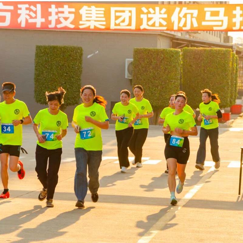 Portable Gold Finder