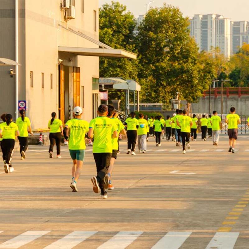 Search Coil Metal Detector