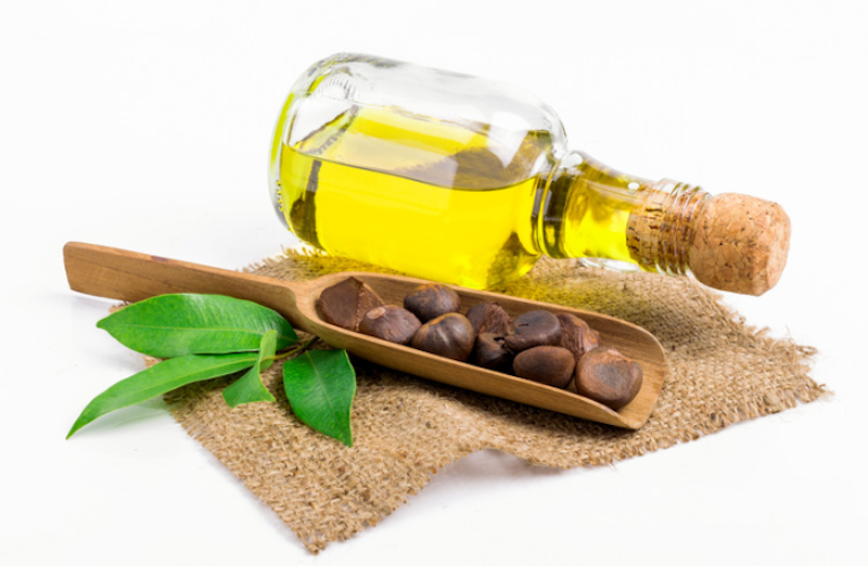 For the First Time, a New Anti-Inflammatory Mechanism and Efficacy Differences in Camellia Seed Oil Revealed!