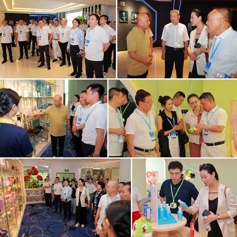 Визит представителей отечественных и зарубежных торговых палат в Лягушка Принц Группа в 2025 году