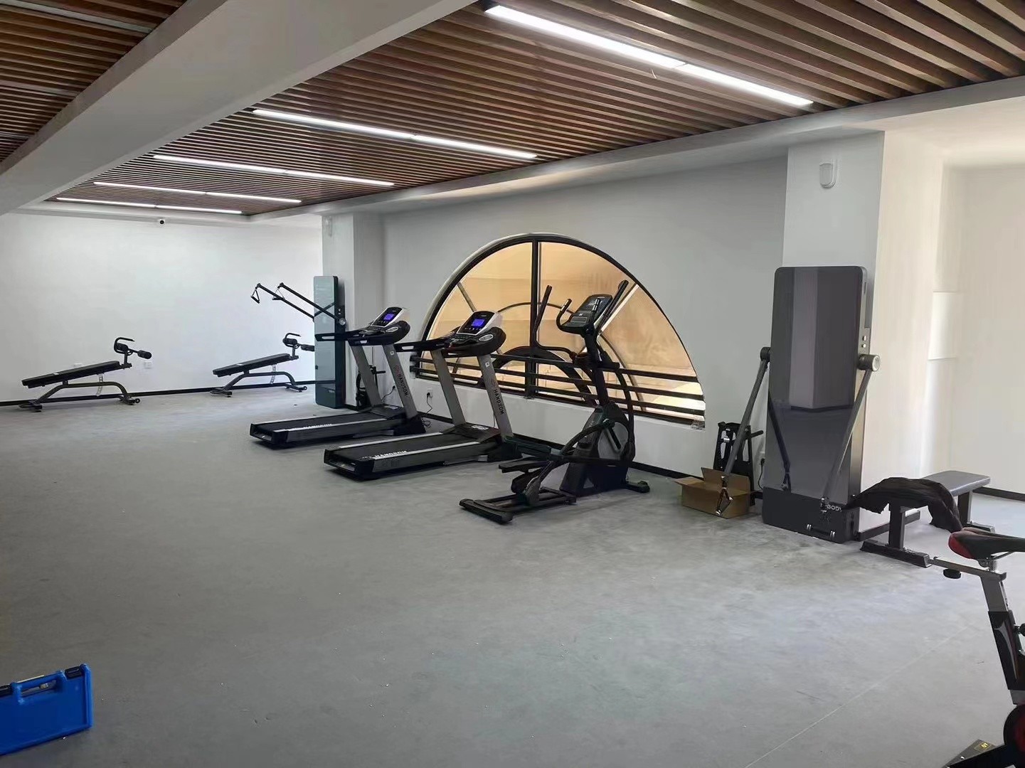 smart home gym monster
