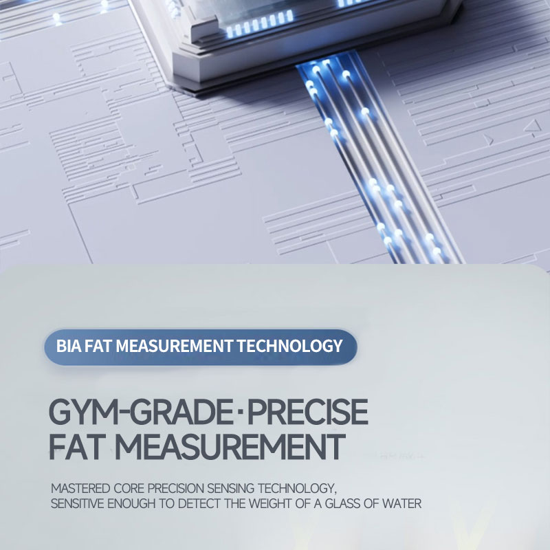 Weight Scale For Hotels