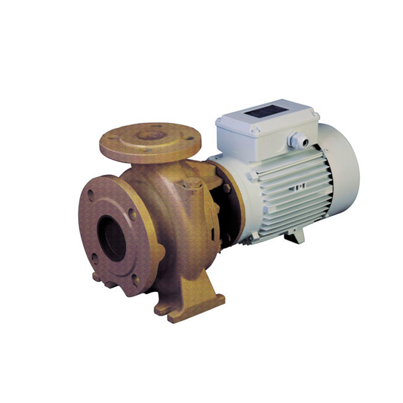 Marine Bilge Pump