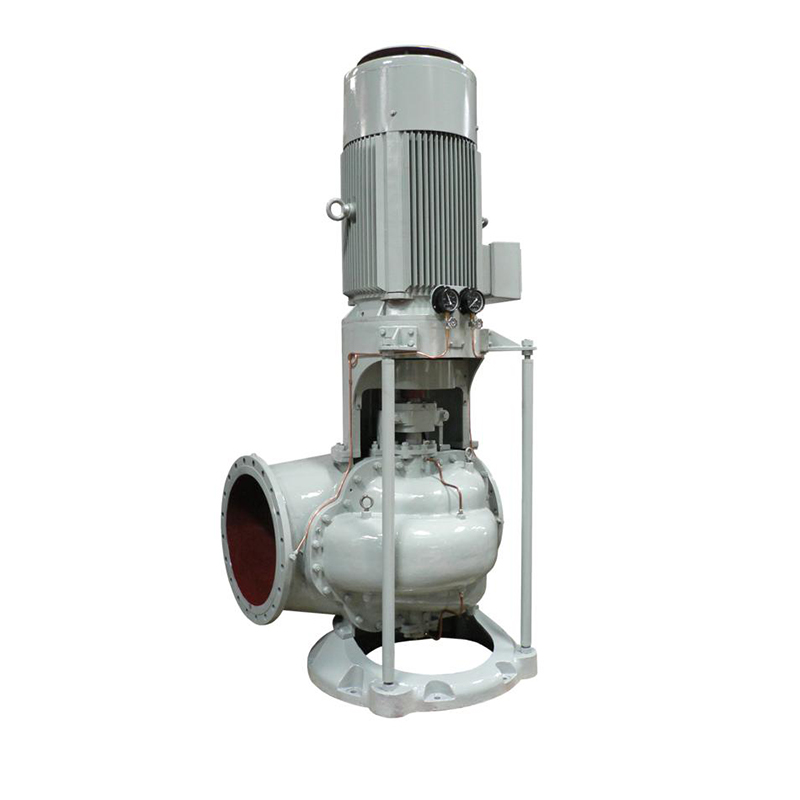 Vertical Immersion Pump