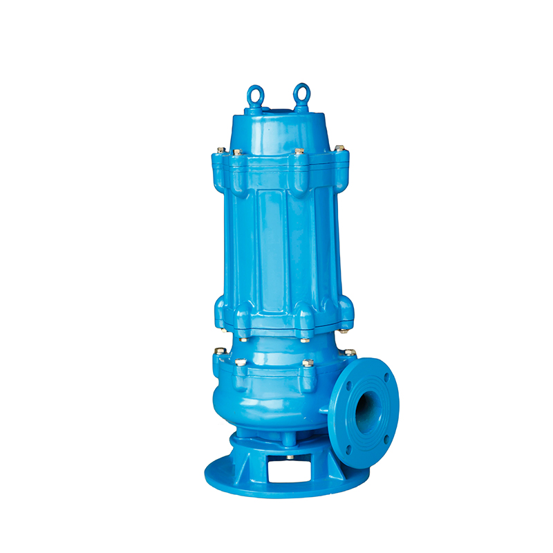 Vertical Immersion Pump