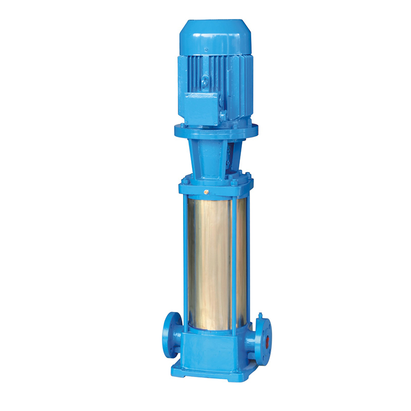 Vertical Immersion Pump