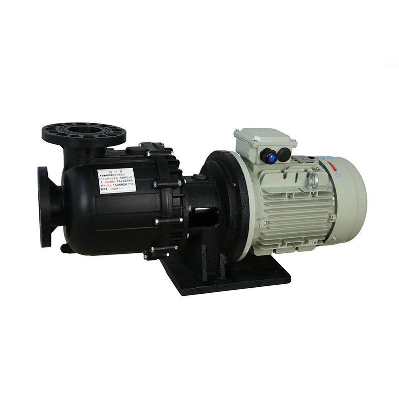 Heavy Duty Fluoroplastic Magnetic Pump