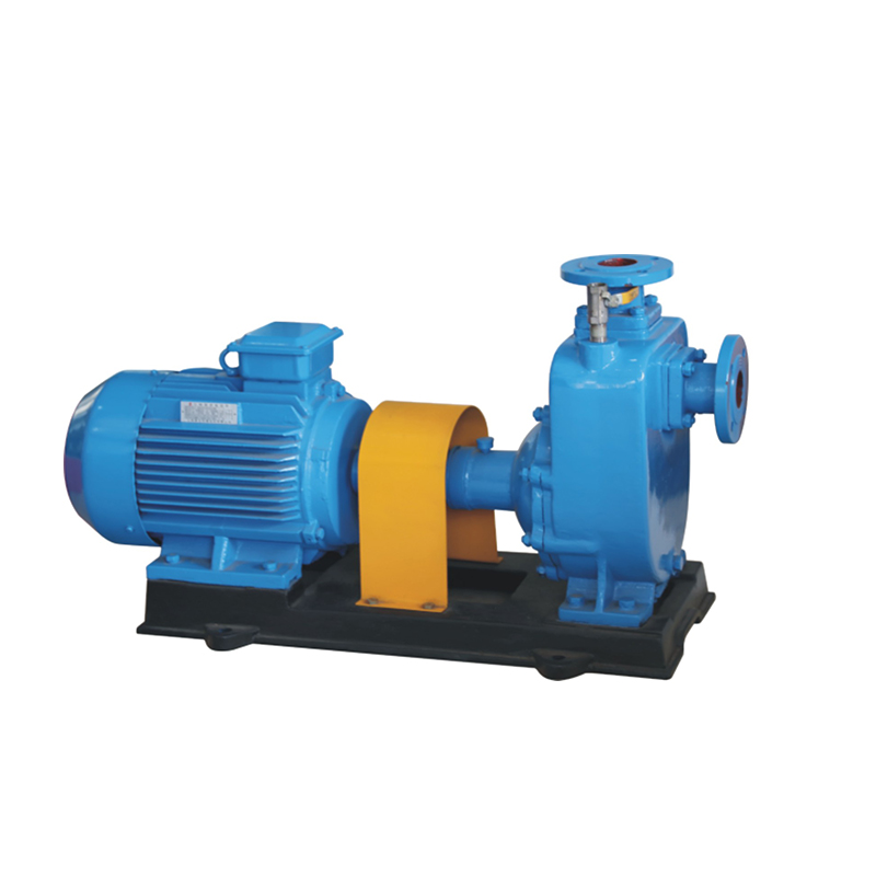 Cast Iron Self Priming Pump