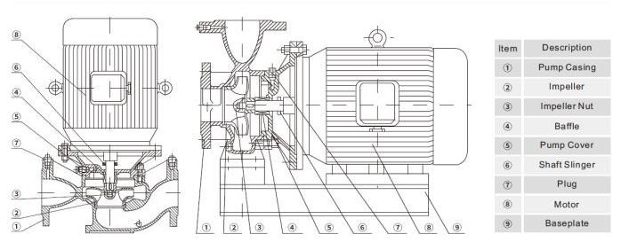 Vertical Monoblock Pump drawing.jpg