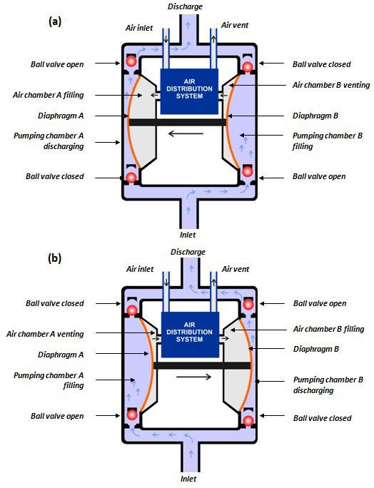 Pneumatic Powder Pump section drawing.jpg