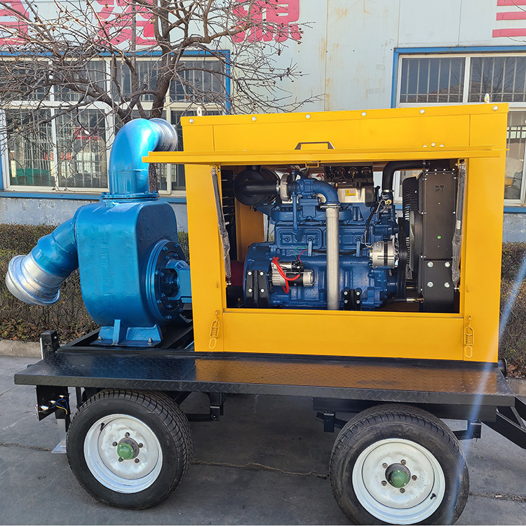 Diesel Engine Drive Large Capacity Water Pumps photo.jpg