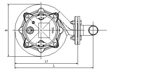 Stainless Steel Submersible Pump drawing-1.png