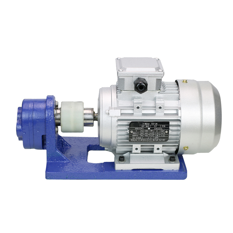 Gear Pump For Soybean Oil Vegetable Oil