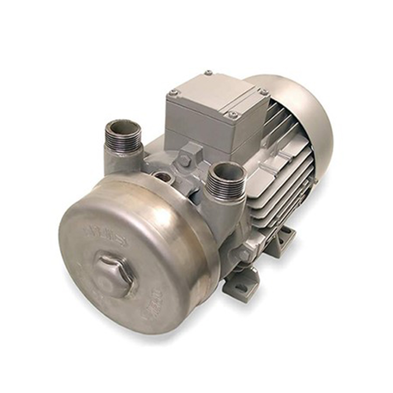 liquid ring vacuum pump