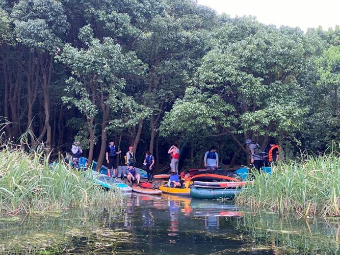 Participated in a charitable initiative focused on cleaning up waterways through rowing