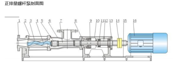 screw pump