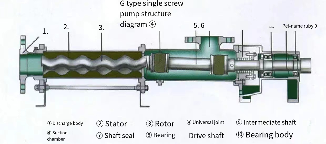 single screw pump