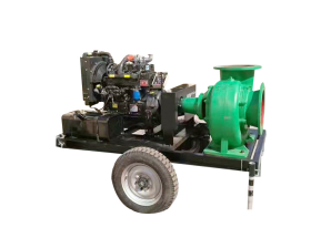 Dewatering Pump