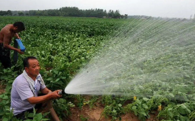 Las bombas de agua desempeñan un papel crucial en diversas industrias.