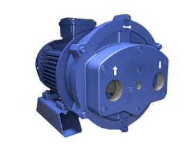 Liquid ring vacuum pump