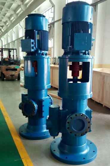 Vertical screw pump petrochemical application