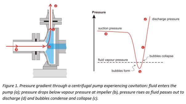 Understanding Cavitation