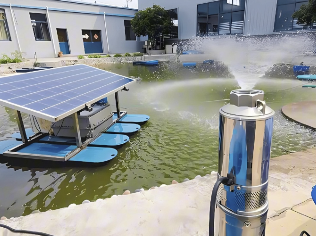 Renewable Energy Pump Systems