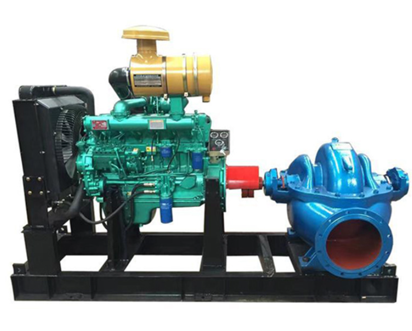 double mechanical seal pump