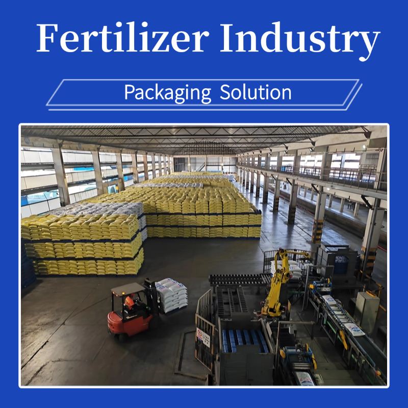 Henll Company: Solving Industry Pain Points and Empowering Enterprise Development