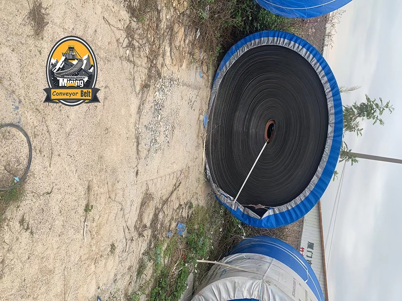 Cold-Resistant Conveyor Belts polyester conveyor belt manufacturers