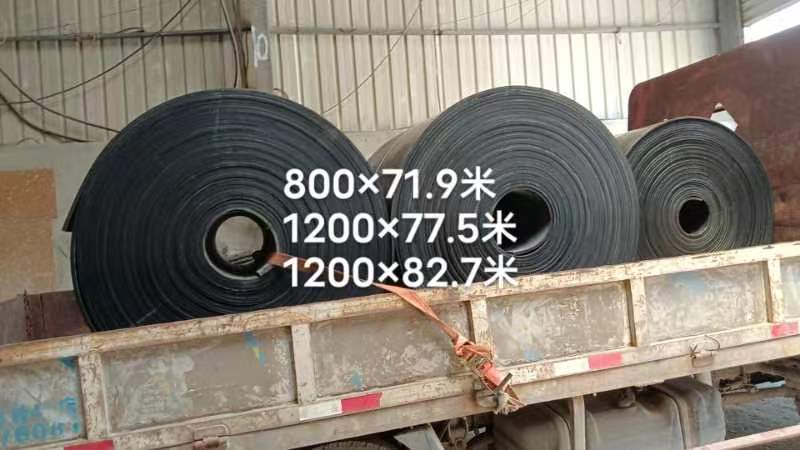 Steel wire conveyor belt