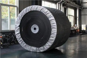 Anti-longitudinal tear steel cord conveyor belt