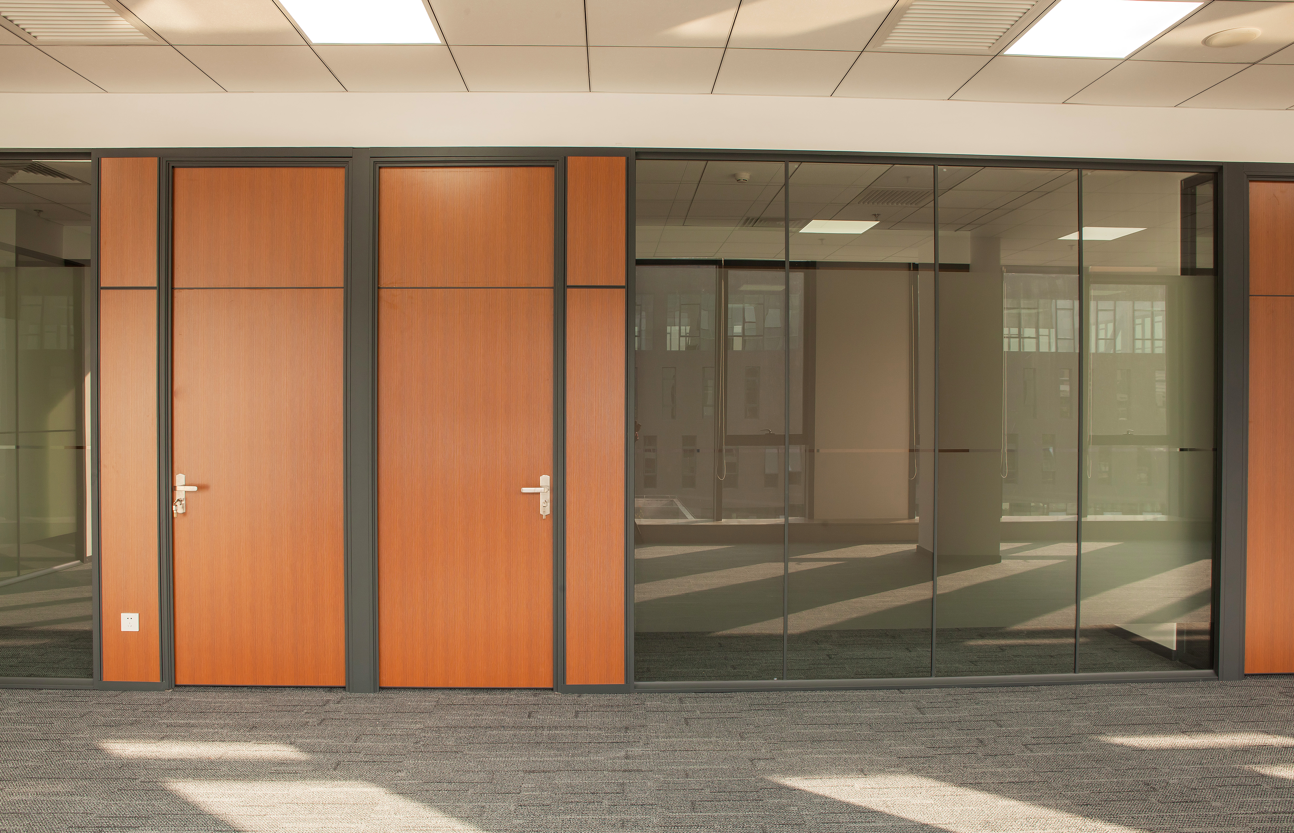PVC veneer door