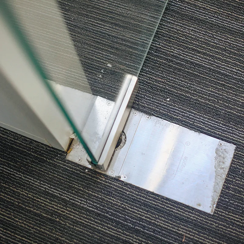 Tempered Frost-Baked Glass Door