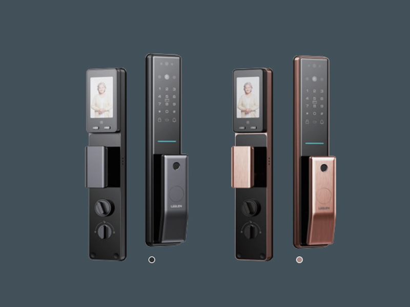 Smart Door Locks