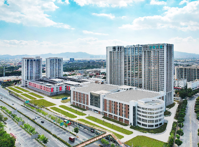 Systemic Intelligence