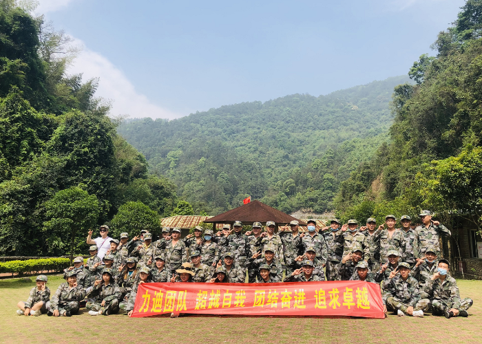 мероприятия по формированию команды компании