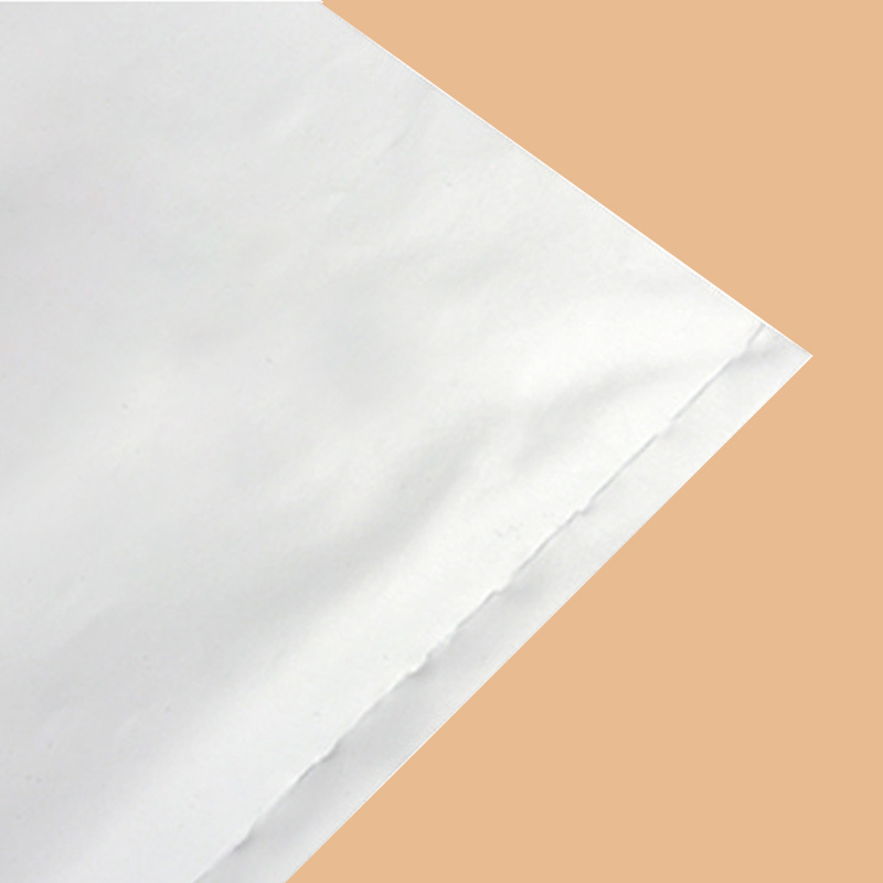 Poly plastic bags