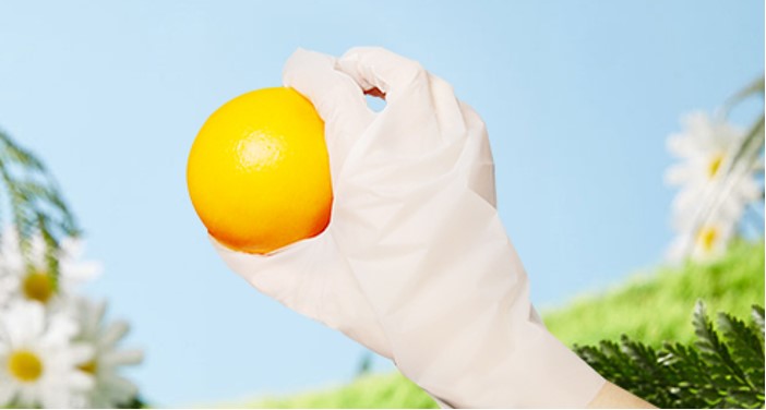 PE disposable gloves PE disposable gloves