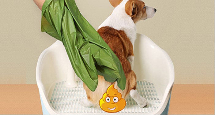 Phân tích thị trường khu vực về mô hình tiêu thụ túi đựng chất thải vật nuôi Phân tích thị trường khu vực về mô hình tiêu thụ túi đựng chất thải vật nuôi