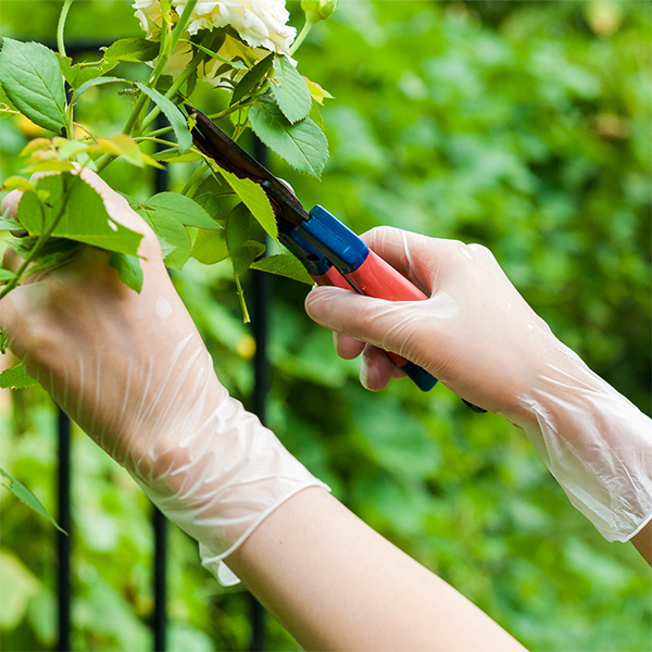 vinyl disposable gloves vinyl disposable gloves