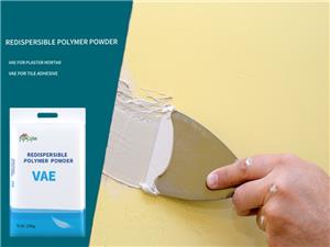 Construction Grade RDP For Putty