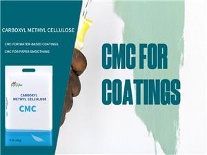 CMC For Water-based Coatings