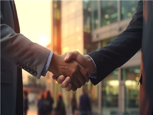 Why choose topluse cellulose