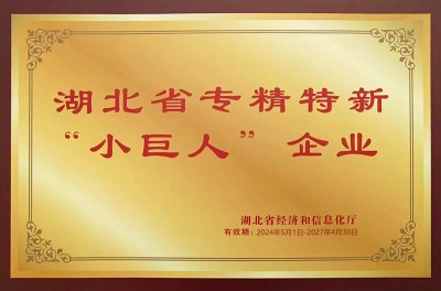 Little Giant Enterprise