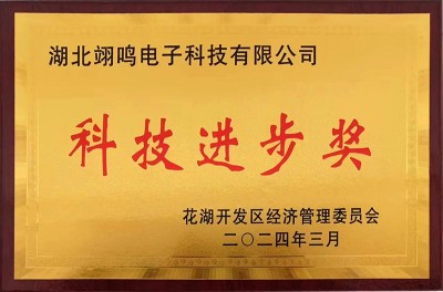 Science and Technology Progress Award