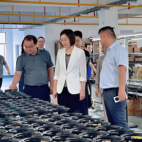 Zou Xia, Minister of the Propaganda Department of Ezhou City, came to our company to guide our work