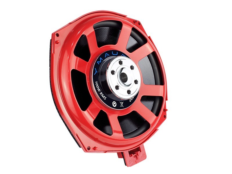 8 inch bmw speaker(Dual neo magnet)